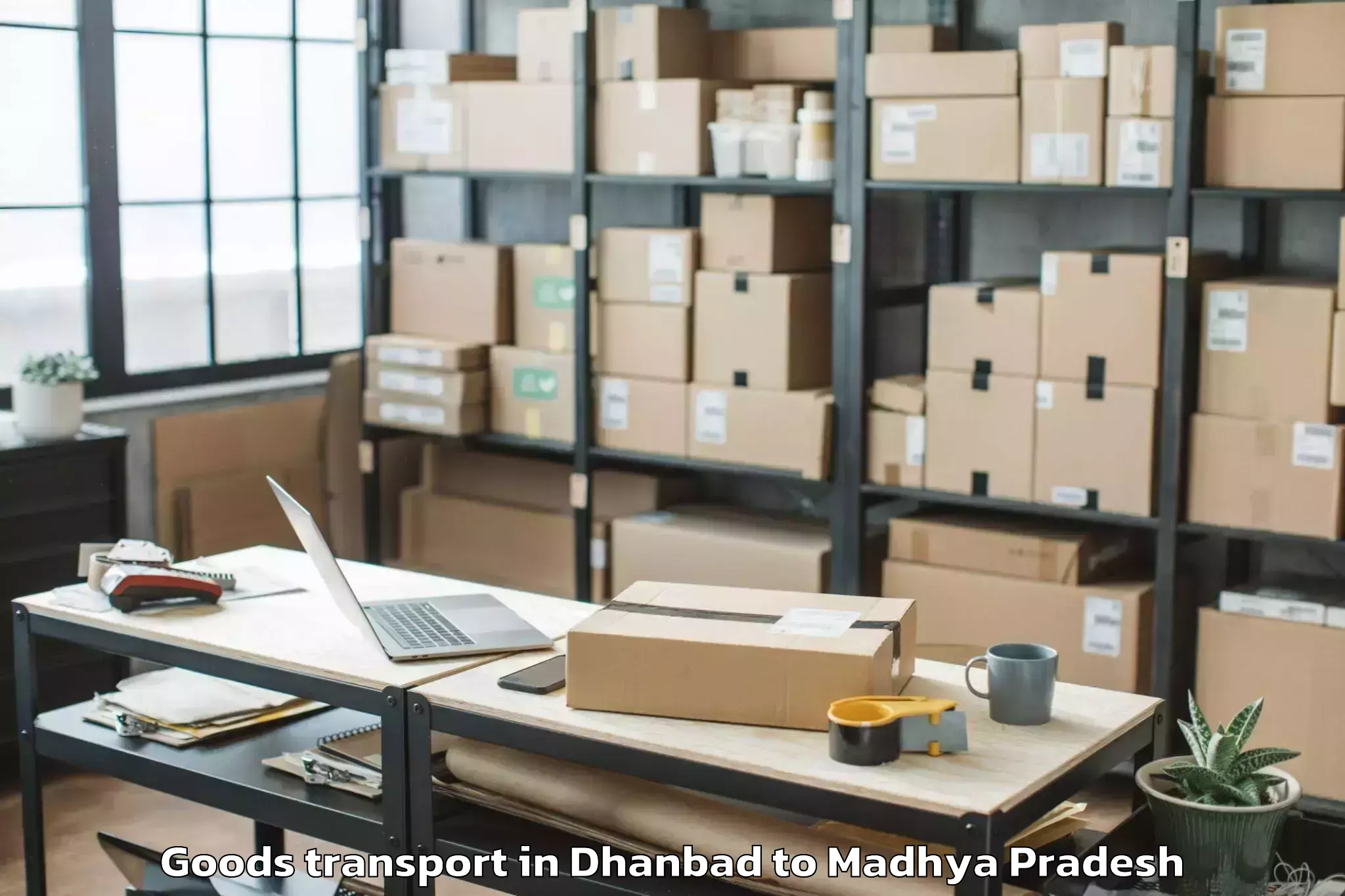 Quality Dhanbad to Jiwaji University Gwalior Goods Transport